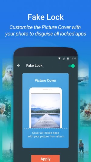 Fake Lock.jpg Fake Lock.jpg