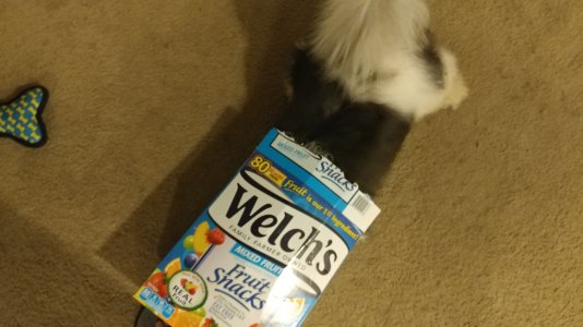 20161030_090802.jpg