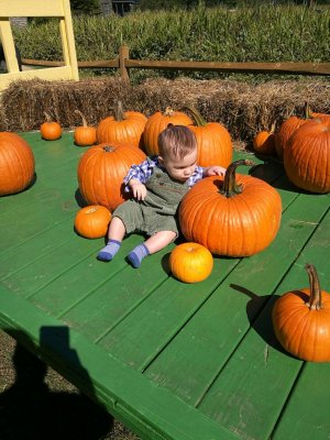 IMG_20161009_142338.jpg