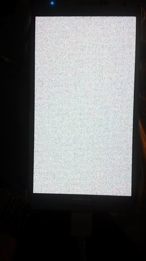 14724215_10153946111037078_574451220_o.jpg