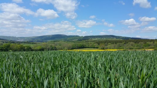 20160516_142018.jpg