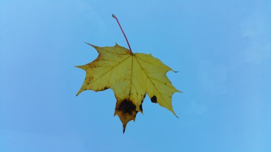20161021_131852-Edit.jpg