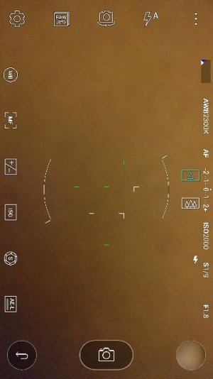 5839.jpg