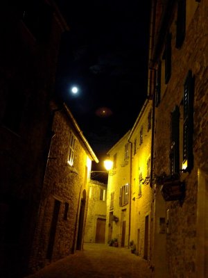 IMG_201.jpg