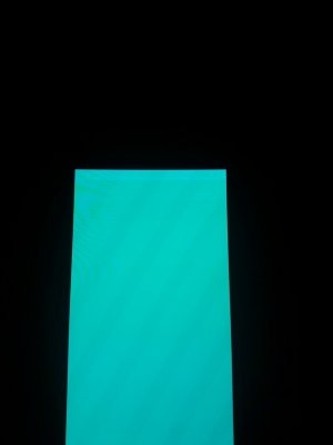 20161016_072429_resized.jpg