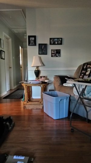 IMG_20161104_152603.jpg