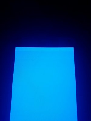 20161016_072459_resized.jpg