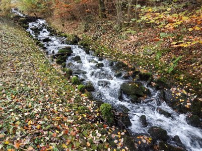 20161104_114554.jpg