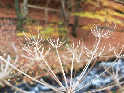 20161104_114747.jpg