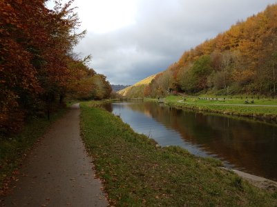 20161104_115239.jpg