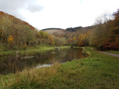 20161104_115440.jpg