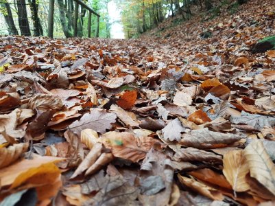 20161104_115544.jpg