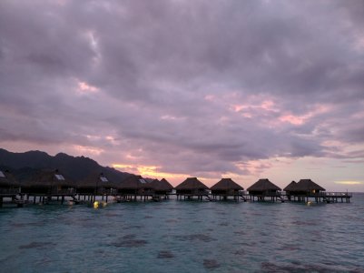 IMG_20161117_182648.jpg