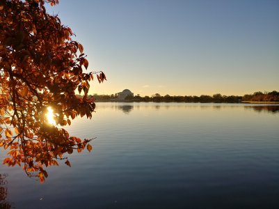 1123160730_HDR.jpg