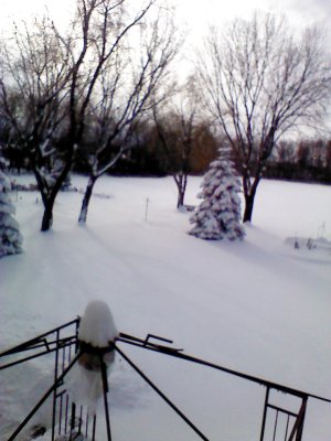 IMG_20121111_132851.jpg