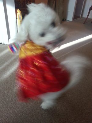 2013-01-01 10.36.09.jpg