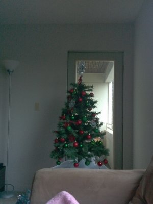 IMG_20121218_075613.jpg