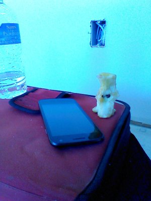 IMG_20121218_094043.jpg