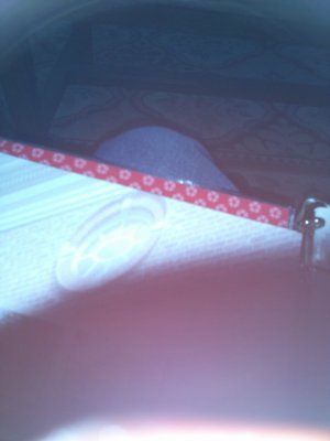 IMG_20121230_163830.jpg