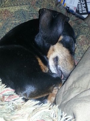 20121116_173944.jpg