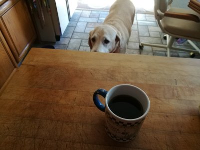 IMG_20161107_115718.jpg