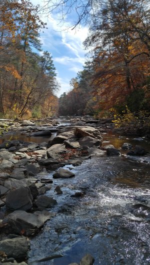 20161125_122248_HDR_1.jpg