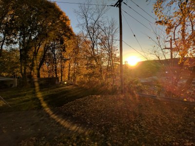 IMG_20161107_162421.jpg