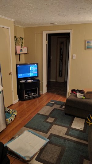 NEXUS5X.jpg