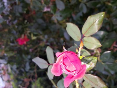 20161008_171134.jpg