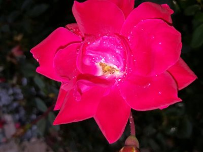 20161008_171102.jpg