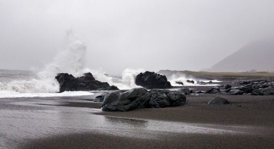 DSC_0043.jpg