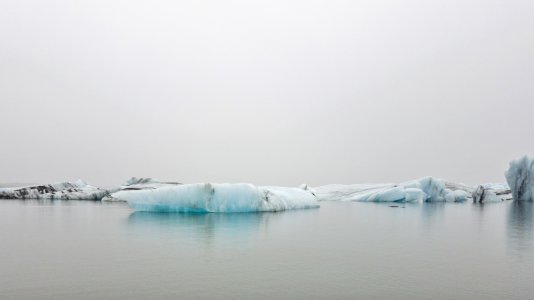 DSC_0097.jpg