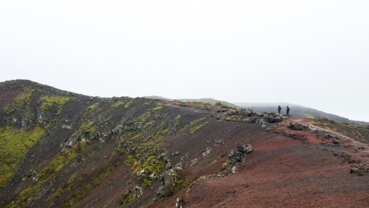 DSC_0399.jpg