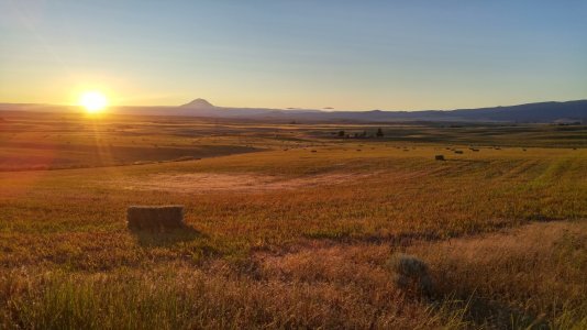 20160611_203955_HDR.jpg