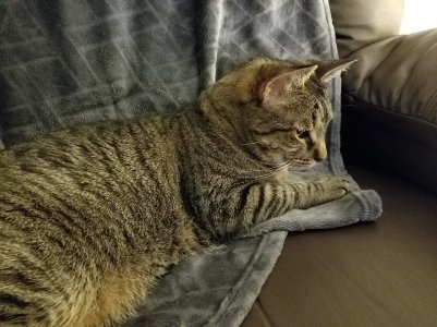 20161023_104205.jpg