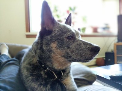 test photo - Copy.jpg