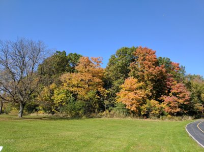 IMG_20161023_124355.jpg