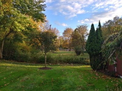 20161024_171701_HDR.jpg