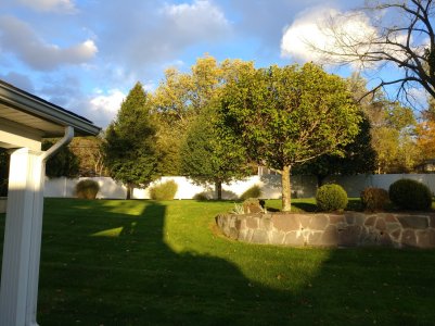 20161024_171709.jpg
