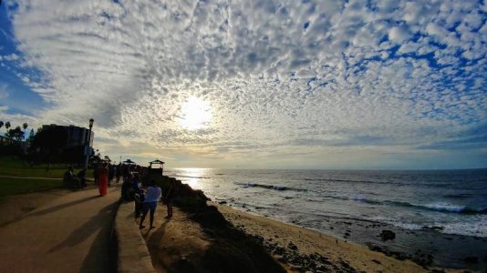 20161029_164043_HDR~2.jpg