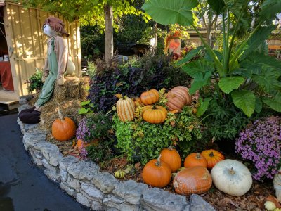 IMG_20161022_090741.jpg