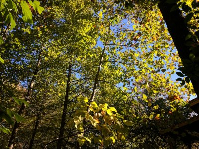 IMG_20161022_095711.jpg