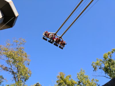 IMG_20161022_102248.jpg