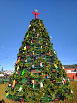 IMG_20161117_080951.jpg