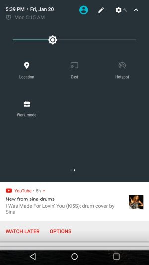 Screenshot (Jan 20, 2017 5:39:43 PM).jpg