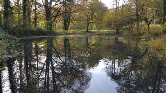 20161111_093122.jpg