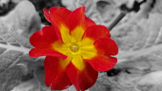20161109_110508.jpg