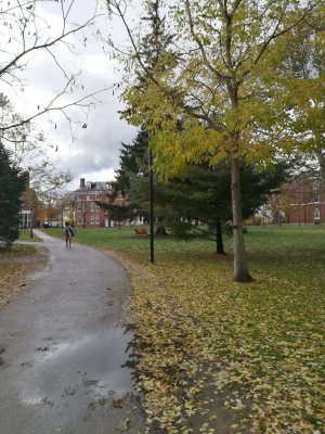 IMG_20161106_100231 - Copy.jpg