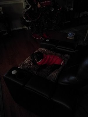 IMG_20161210_072611.jpg IMG_20161210_072611.jpg
