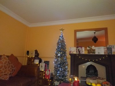 IMG_20161221_182251.jpg